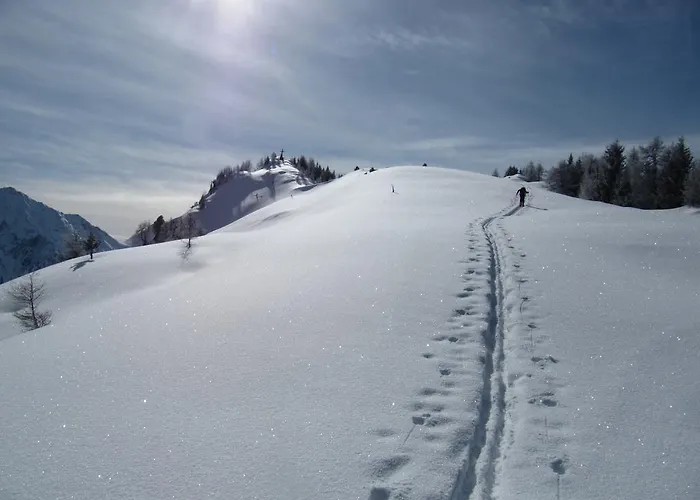 Gossner * Westendorf