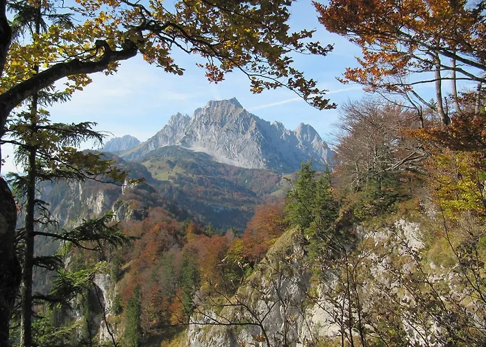 Gossner * Westendorf